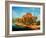 Cretaceous Dinosaurs-Chris Butler-Framed Photographic Print