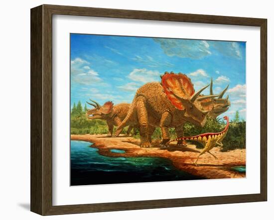 Cretaceous Dinosaurs-Chris Butler-Framed Photographic Print