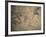 Cretaceous Lambeosaurus Dinosaur Fossil-Kevin Schafer-Framed Photographic Print