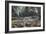 Cretaceous Life, Artwork-Richard Bizley-Framed Photographic Print