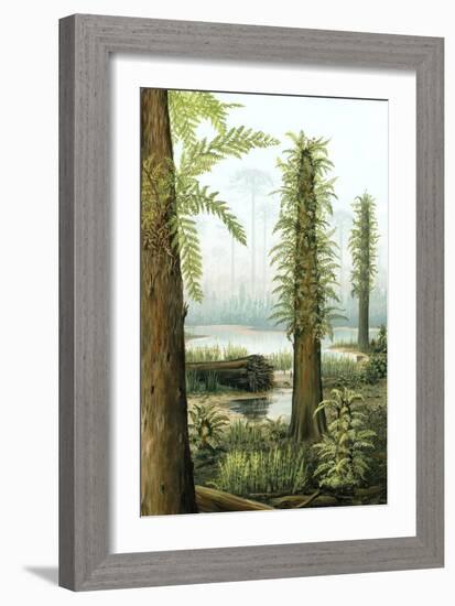 Cretaceous Tree Ferns, Artwork-Richard Bizley-Framed Photographic Print