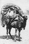 A Girl on a Camel Litter, Algeria, 1922-Crete-Framed Giclee Print