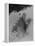 Crevasse on Mount Baker, Circa 1907-Asahel Curtis-Framed Premier Image Canvas