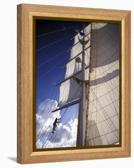 Crew Member Climbing Mast of the Star Clipper, Caribbean-Dave Bartruff-Framed Premier Image Canvas