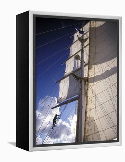 Crew Member Climbing Mast of the Star Clipper, Caribbean-Dave Bartruff-Framed Premier Image Canvas