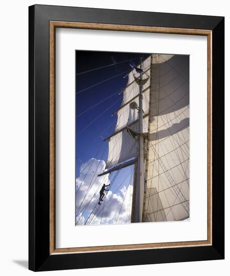 Crew Member Climbing Mast of the Star Clipper, Caribbean-Dave Bartruff-Framed Photographic Print