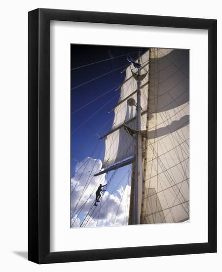 Crew Member Climbing Mast of the Star Clipper, Caribbean-Dave Bartruff-Framed Photographic Print