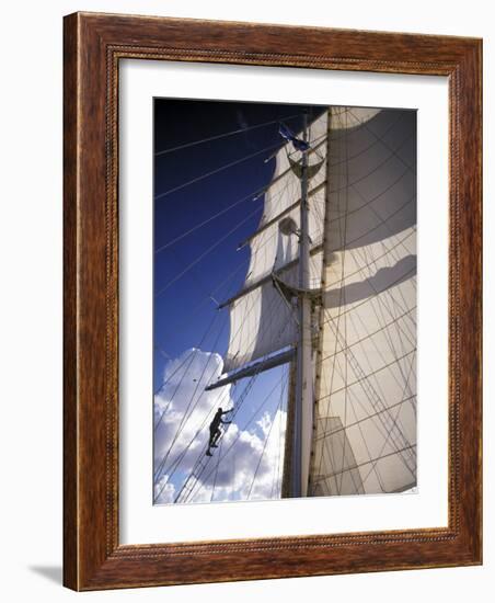 Crew Member Climbing Mast of the Star Clipper, Caribbean-Dave Bartruff-Framed Photographic Print