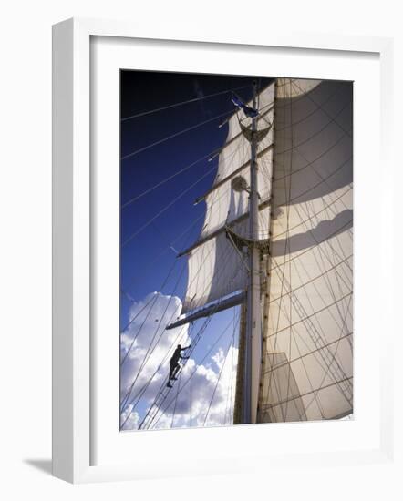 Crew Member Climbing Mast of the Star Clipper, Caribbean-Dave Bartruff-Framed Photographic Print