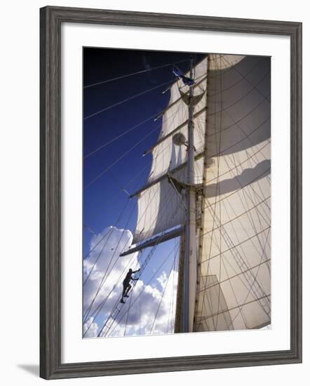 Crew Member Climbing Mast of the Star Clipper, Caribbean-Dave Bartruff-Framed Photographic Print