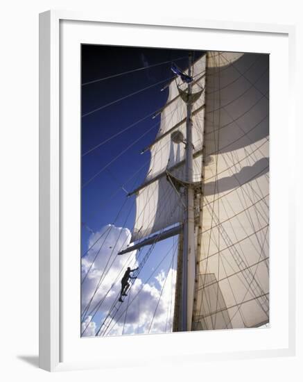 Crew Member Climbing Mast of the Star Clipper, Caribbean-Dave Bartruff-Framed Photographic Print