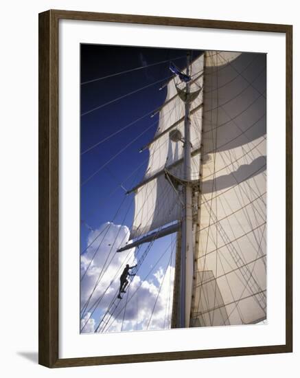 Crew Member Climbing Mast of the Star Clipper, Caribbean-Dave Bartruff-Framed Photographic Print