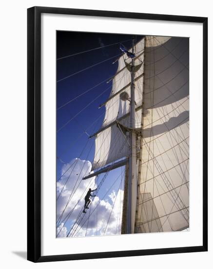 Crew Member Climbing Mast of the Star Clipper, Caribbean-Dave Bartruff-Framed Photographic Print