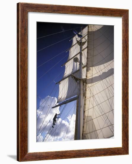 Crew Member Climbing Mast of the Star Clipper, Caribbean-Dave Bartruff-Framed Photographic Print