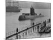 Photographic Print