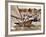 Crew of the "Arawatta" During the "Eighteen Footer" Race, Sydney Harbour, 9th April 1934-null-Framed Premium Photographic Print