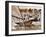 Crew of the "Arawatta" During the "Eighteen Footer" Race, Sydney Harbour, 9th April 1934-null-Framed Photographic Print