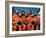 Crew of the Ill-Fated Space Shuttle Columbia-null-Framed Photo