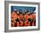 Crew of the Ill-Fated Space Shuttle Columbia-null-Framed Photo