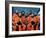 Crew of the Ill-Fated Space Shuttle Columbia-null-Framed Photo