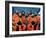 Crew of the Ill-Fated Space Shuttle Columbia-null-Framed Photo