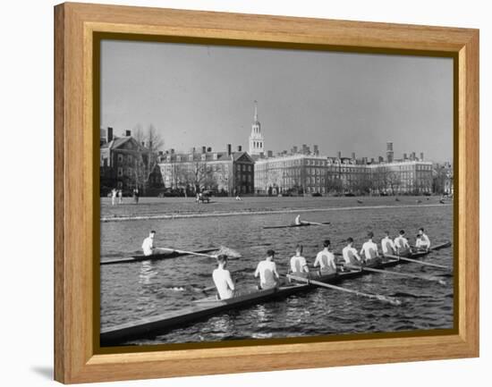 Crew Rowing on Charles River across from Harvard University Campus-Alfred Eisenstaedt-Framed Premier Image Canvas