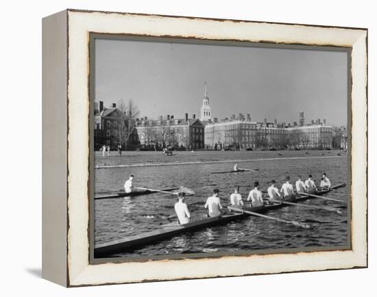 Crew Rowing on Charles River across from Harvard University Campus-Alfred Eisenstaedt-Framed Premier Image Canvas