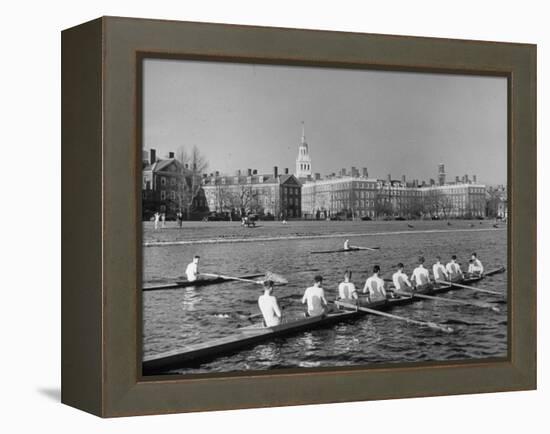 Crew Rowing on Charles River across from Harvard University Campus-Alfred Eisenstaedt-Framed Premier Image Canvas