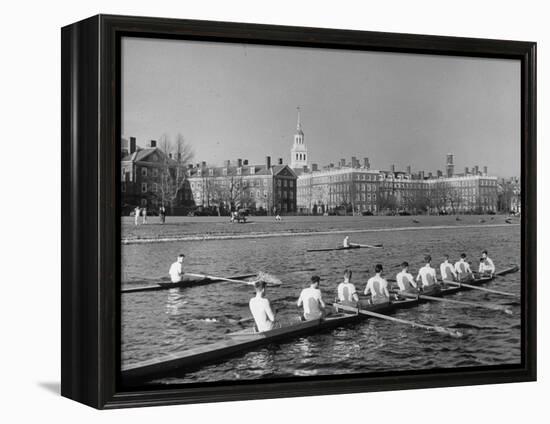 Crew Rowing on Charles River across from Harvard University Campus-Alfred Eisenstaedt-Framed Premier Image Canvas