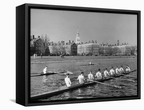 Crew Rowing on Charles River across from Harvard University Campus-Alfred Eisenstaedt-Framed Premier Image Canvas