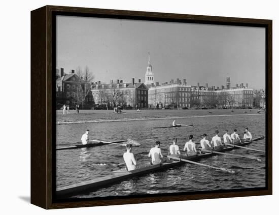 Crew Rowing on Charles River across from Harvard University Campus-Alfred Eisenstaedt-Framed Premier Image Canvas