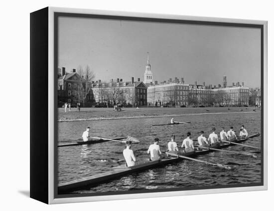 Crew Rowing on Charles River across from Harvard University Campus-Alfred Eisenstaedt-Framed Premier Image Canvas