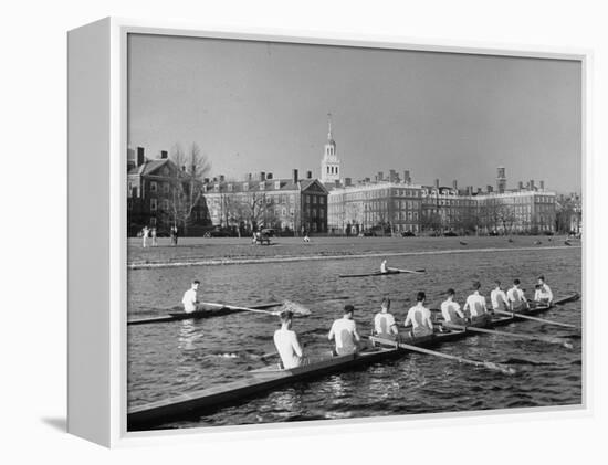 Crew Rowing on Charles River across from Harvard University Campus-Alfred Eisenstaedt-Framed Premier Image Canvas