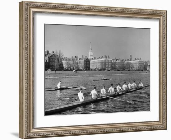 Crew Rowing on Charles River across from Harvard University Campus-Alfred Eisenstaedt-Framed Premium Photographic Print