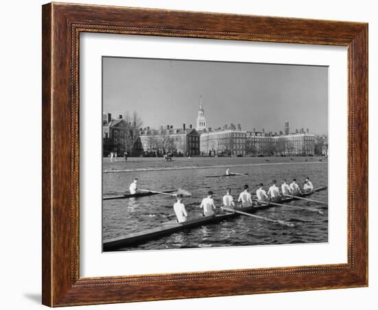 Crew Rowing on Charles River across from Harvard University Campus-Alfred Eisenstaedt-Framed Premium Photographic Print