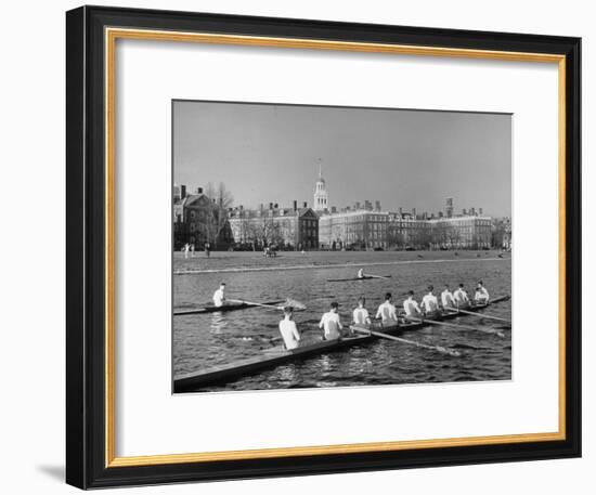 Crew Rowing on Charles River across from Harvard University Campus-Alfred Eisenstaedt-Framed Premium Photographic Print