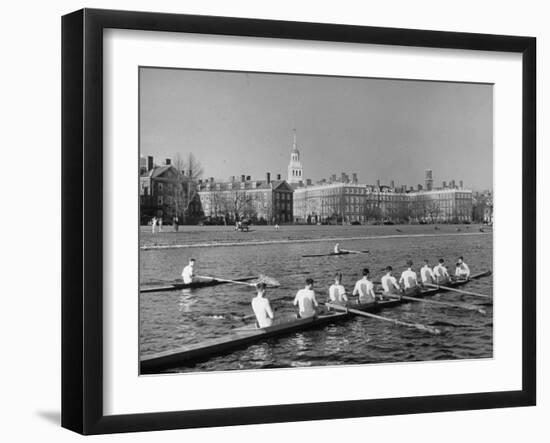 Crew Rowing on Charles River across from Harvard University Campus-Alfred Eisenstaedt-Framed Premium Photographic Print