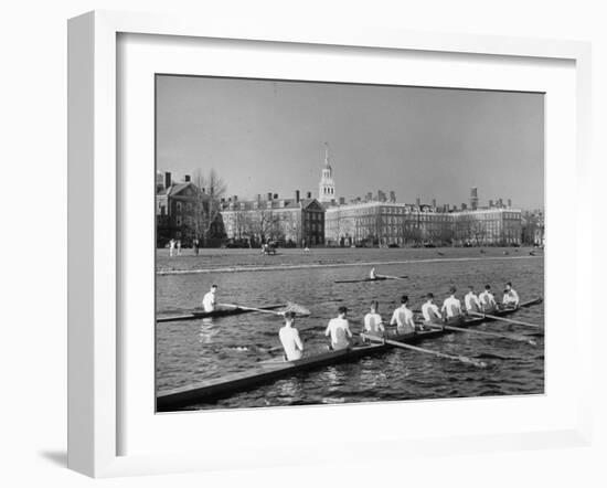 Crew Rowing on Charles River across from Harvard University Campus-Alfred Eisenstaedt-Framed Premium Photographic Print