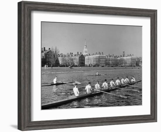 Crew Rowing on Charles River across from Harvard University Campus-Alfred Eisenstaedt-Framed Photographic Print