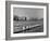 Crew Rowing on Charles River across from Harvard University Campus-Alfred Eisenstaedt-Framed Photographic Print