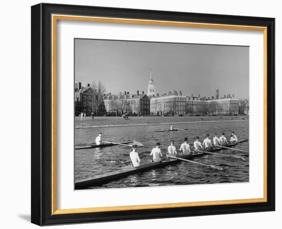 Crew Rowing on Charles River across from Harvard University Campus-Alfred Eisenstaedt-Framed Photographic Print