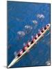 Crew Rowing, Seattle, Washington, USA-Terry Eggers-Mounted Photographic Print