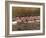 Crew Rowing, Seattle, Washington, USA-Terry Eggers-Framed Photographic Print