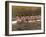 Crew Rowing, Seattle, Washington, USA-Terry Eggers-Framed Photographic Print