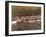 Crew Rowing, Seattle, Washington, USA-Terry Eggers-Framed Photographic Print