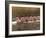 Crew Rowing, Seattle, Washington, USA-Terry Eggers-Framed Photographic Print