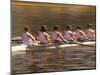 Crew Rowing, Seattle, Washington, USA-Terry Eggers-Mounted Photographic Print