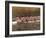 Crew Rowing, Seattle, Washington, USA-Terry Eggers-Framed Photographic Print