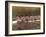 Crew Rowing, Seattle, Washington, USA-Terry Eggers-Framed Photographic Print