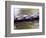 Crew Rowing, Seattle, Washington, USA-Terry Eggers-Framed Photographic Print